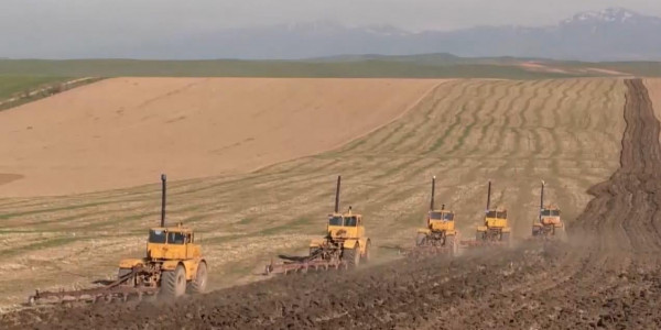 Мажилис одобрил законопроект по земельным отношениям