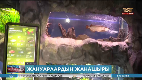 Алматылық ветеринар зообақтың құрметті қызметкері атанған