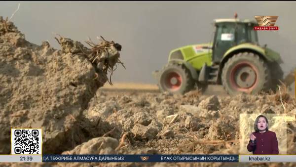 Қызылордалық студент ауыл шаруашылығына арналған AI-платформа әзірледі