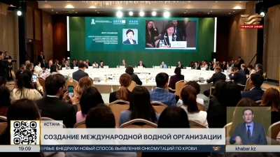 Водная безопасность региона: в РК предложили создать Международную водную организацию