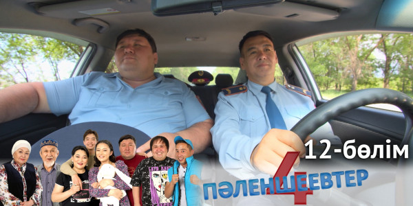 &laquo;Пәленшеевтер 4&raquo; телехикаясы. 12-бөлім