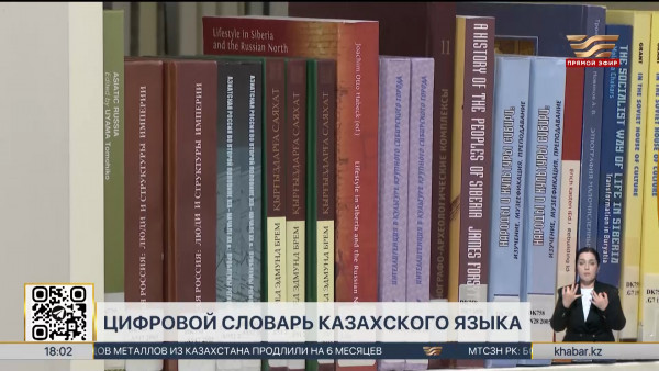 Национальный словарный фонд казахского языка создадут в РК