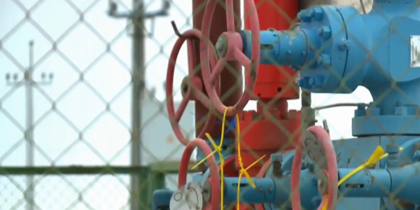 Sheteldik zhumys kushi 