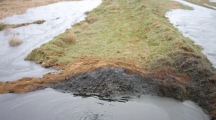 В Южном Казахстане преступная группа воровала нефть машинами