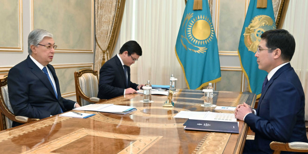 Глава государства принял председателя правления НАО &laquo;Фонд социального медицинского страхования&raquo;