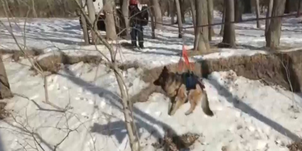 Оттепель в Прииртышье вызвала беспокойство у спасательных служб