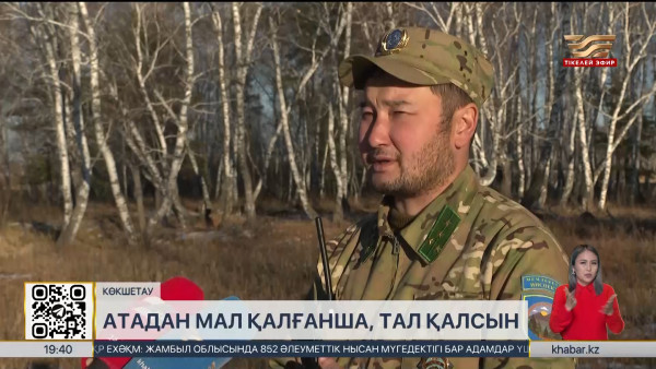 12 мыңнан астам орманшы кәсіби мерекесін тойлайды