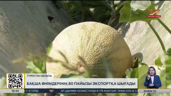 Түркістан облысында бақша өнімдерінің 80%-і шетелге экспортталып жатыр