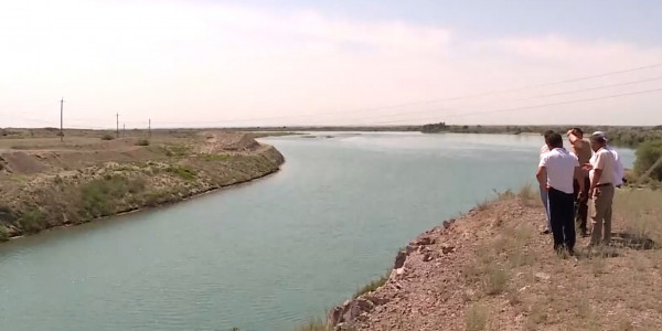 Специалисты назвали причины и последствия сокращения посевов риса