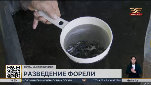 Форель начали разводить в Карагандинской области