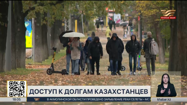 Налоговики получат доступ к долгам казахстанцев