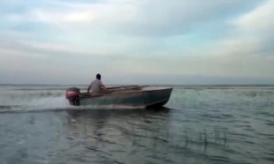 В ЮКО пресечена незаконная добыча рыбных ресурсов