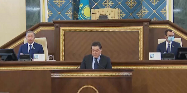 Парламентте экономиканы коронадағдарыстан шығарудың жолдары талқыланды