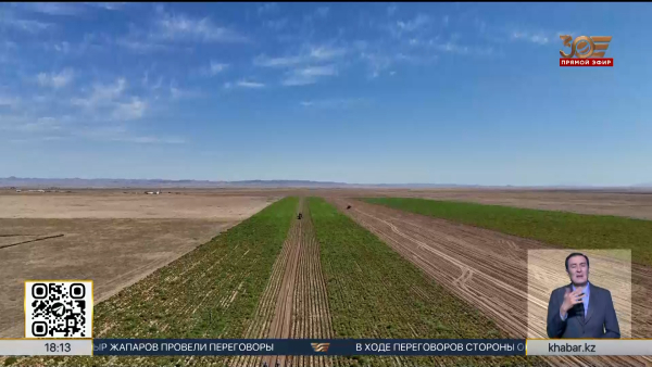 Уборка урожая началась в Алматинской области
