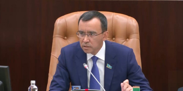 На полную ликвидацию пожара в области Абай нужно еще 4-5 дней