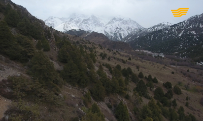 &laquo;Символы нашей Родины&raquo;. Тамгалы тас - изображения Будды, Жамбылская область - комплекс &laquo;Древний город Тараз&raquo;