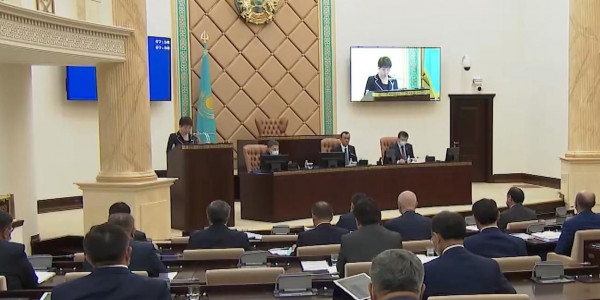 Сенаторы возмущены неэффективными тратами бюджетных денег