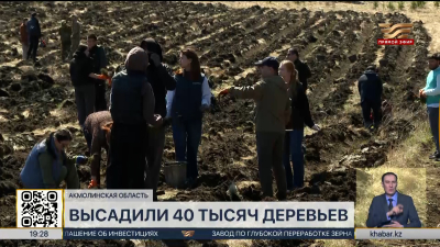 40 тысяч саженцев высадили в лесном хозяйстве «Букпа»