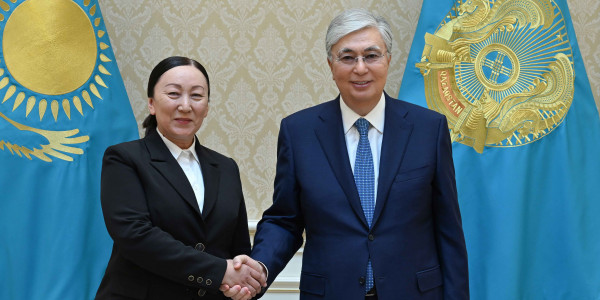 Глава государства принял президента Национальной академии наук Кунсулу Закарью