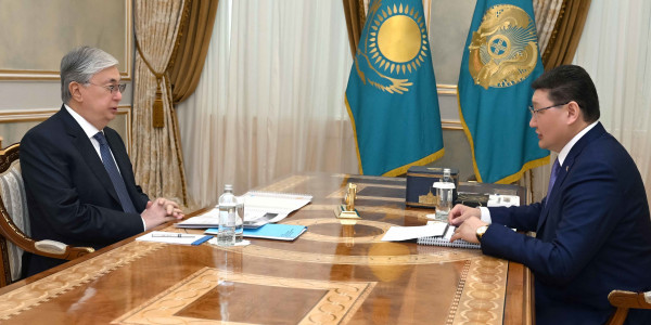 Глава государства принял председателя правления АО &laquo;Агентство &laquo;Хабар&raquo; Берика Уали