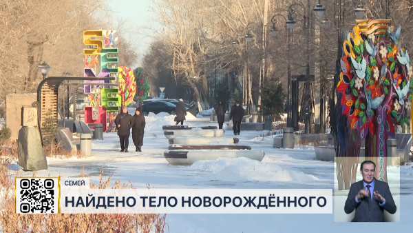 Тело новорождённого ребёнка нашли в мусорном контейнере в Семее