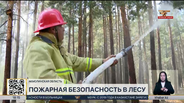 Меры пожарной безопасности усилили в лесных массивах Акмолинской области
