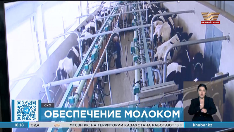 17 молочно-товарных ферм построят в СКО