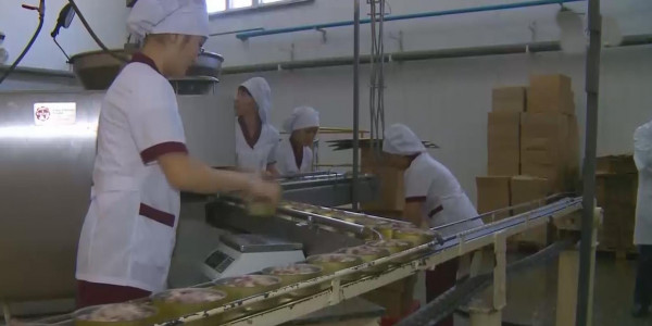 Кәсіпкерлер етпен қатар енді сүйек пен теріні өңдеу ісін қолға алмақ