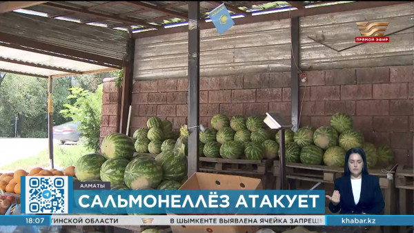 Сезонное заболевание: санврачи предупредили алматинцев