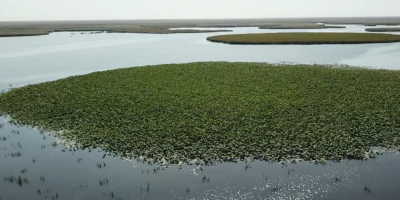 Дельта реки Кигач становится популярным направлением экотуризма