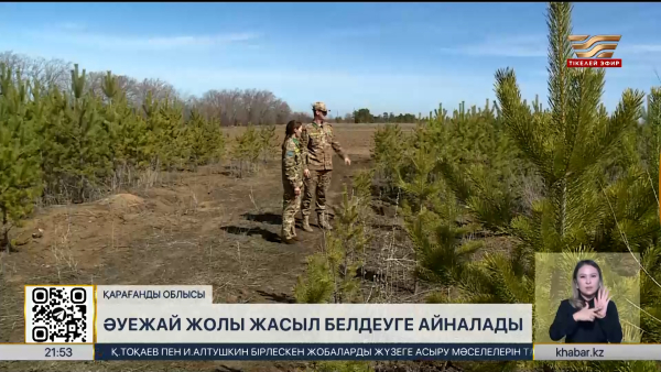 Қарағандыдағы әуежай жолы жасыл белдеуге айналады