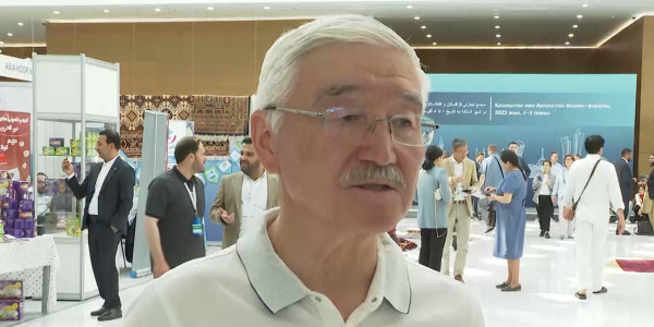 Өміртай Бітімов: Ауған елінде арнайы сауда терминалы керек