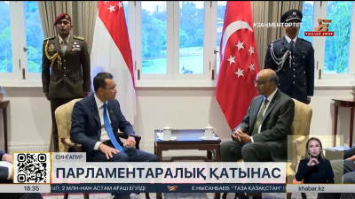 Сенат төрағасы Сингапур Президентімен кездесті