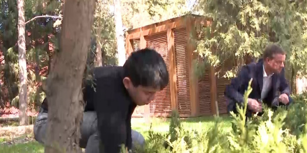 Посадку зеленых насаждений с помощью современных технологий предлагает преподаватель алматинского вуза