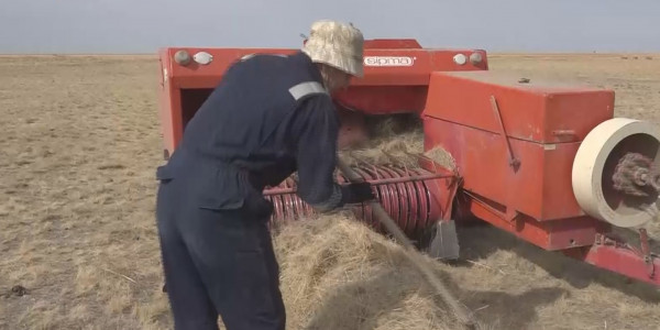 Шабындық шөпті киіктен қалай қорғаймыз?