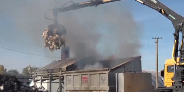 Солтүстік Қазақстан облысында құс тұмауы өршіп барады