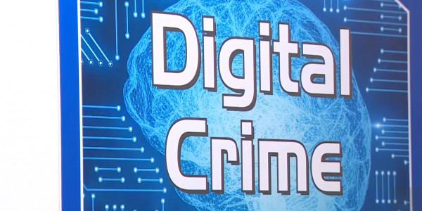 Как борются стражи порядка с киберпреступностью?