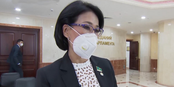 Депутаты высказались о Послании Главы государства