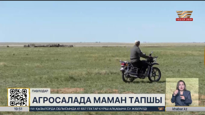 Павлодар облысында агросалада маман тапшы