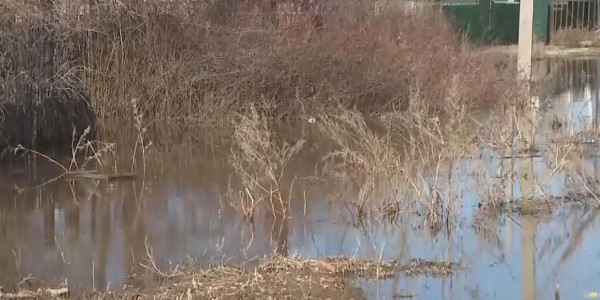 Көкшетауда бірнеше үйді су басты