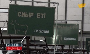 &laquo;Біздің назарда&raquo;. Жалған ветеринарлық анықтама жасағандар анықталды