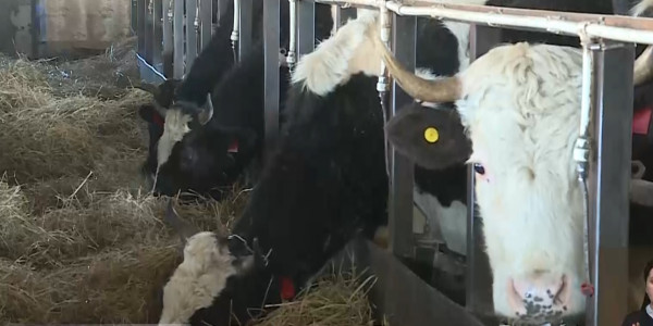 Провести ревизию земель предлагают фермеры Карагандинской области