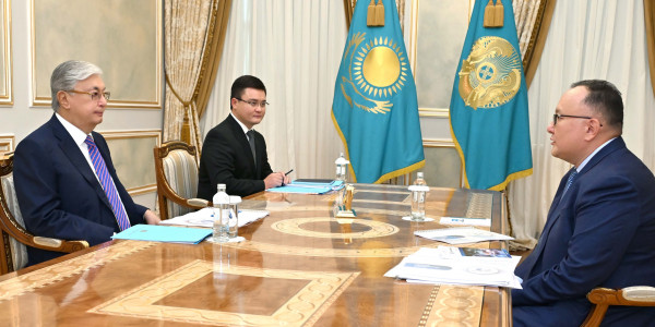 Глава государства принял председателя правления АО &laquo;Казахтелеком&raquo;
