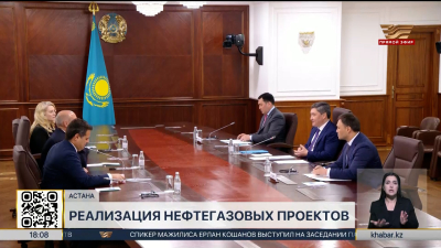 Премьер-министр обсудил с главой подразделения Shell нефтегазовые проекты