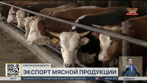 Фермеры Алматинской области столкнулись с ростом цен на сено