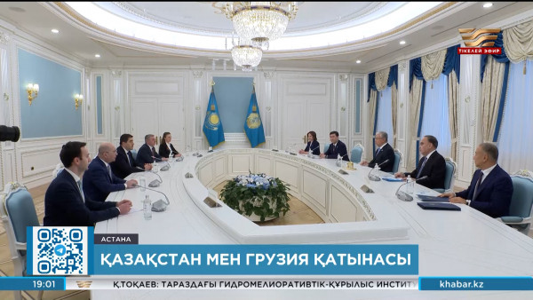 Президент Грузия Парламентінің төрағасымен кездесті