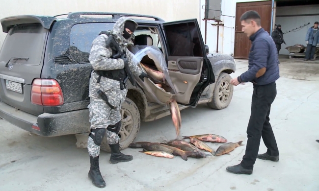 Больше 50 браконьеров привлечены к уголовной ответственности в Атырау
