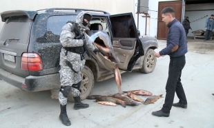 Больше 50 браконьеров привлечены к уголовной ответственности в Атырау