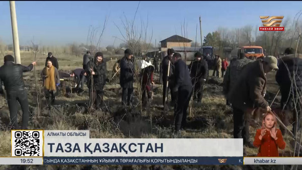 &laquo;Таза Қазақстан&raquo;: Алматы облысында мыңнан астам ағаш отырғызылды
