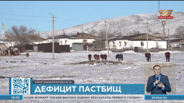 В Казахстане ужесточат критерии использования пастбищ